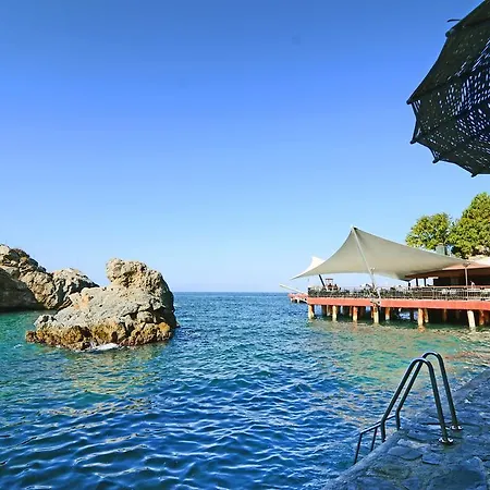 コリマー デラックス